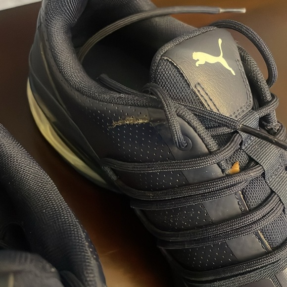 Blue Puma - Picture 3 of 4